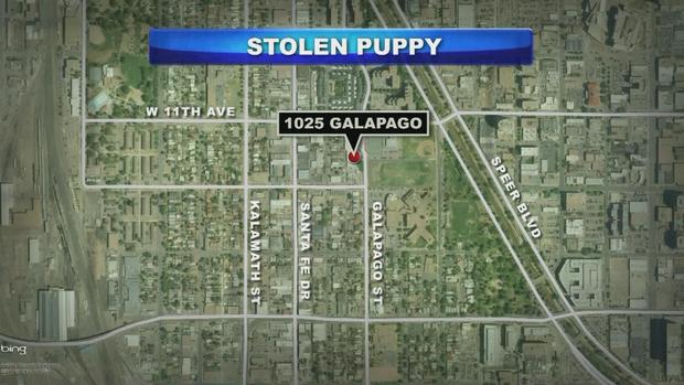 Stolen Puppy 