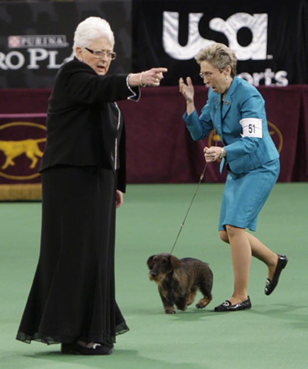 Handler Cheri Koppenhaver, right, reacts after judge Patricia Laurans, left, declared Cinders, a wirehaired dachshund 