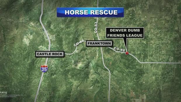 Horse Rescue Map 