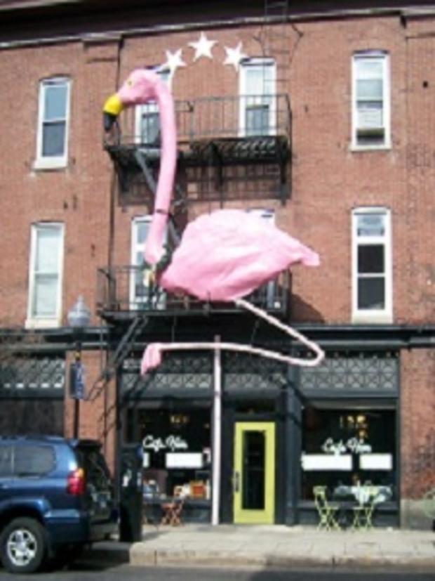 Cafe Hon Flamingo 