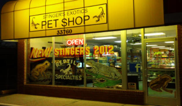Stinger's Exotics Pet Shop 