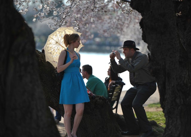 cherry_blossoms_141501079.jpg 