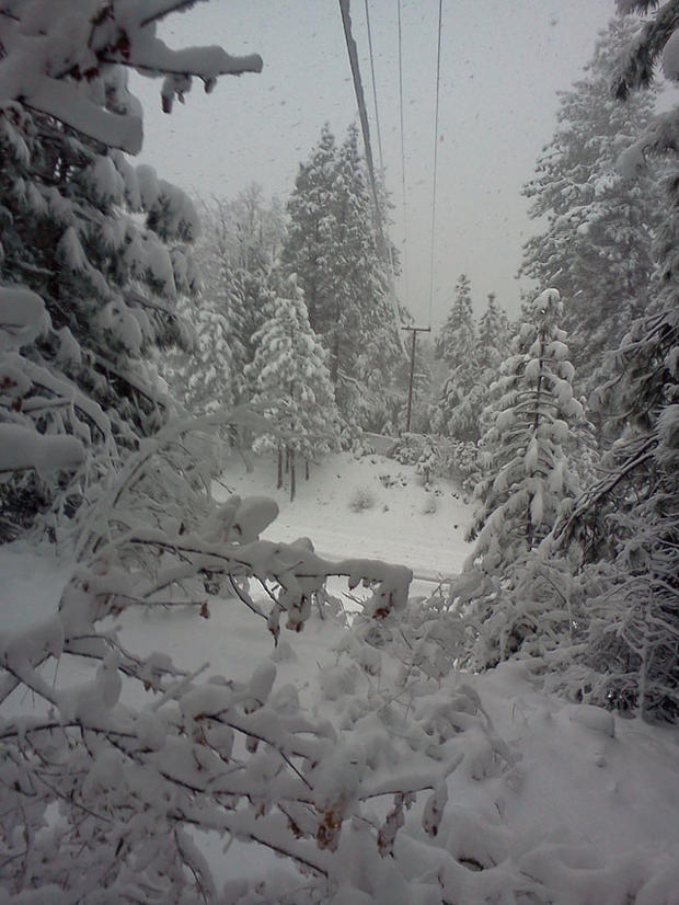 pollock-pines-snow.jpg 