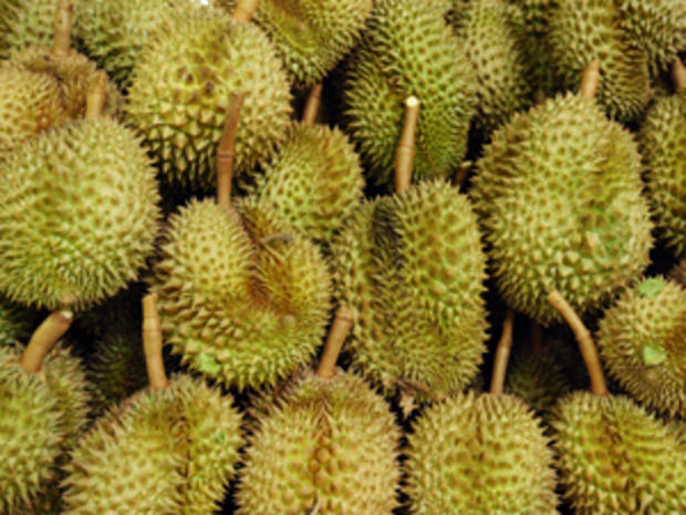 durian fruit 