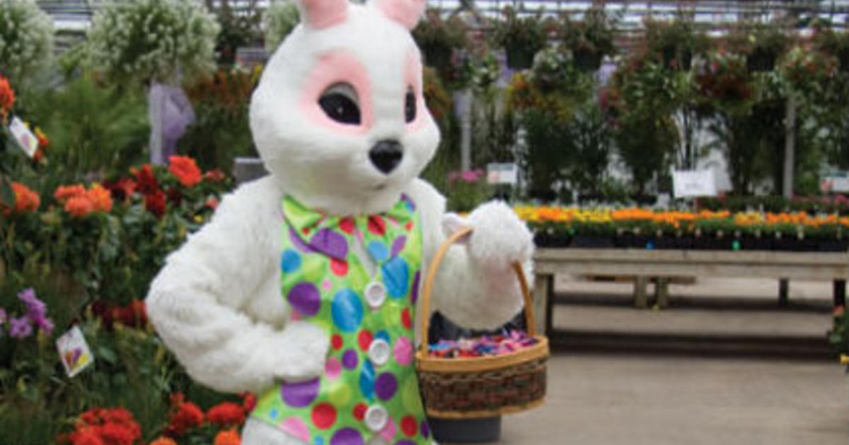Top Philadelphia Area Easter Events For Kids CBS Philadelphia