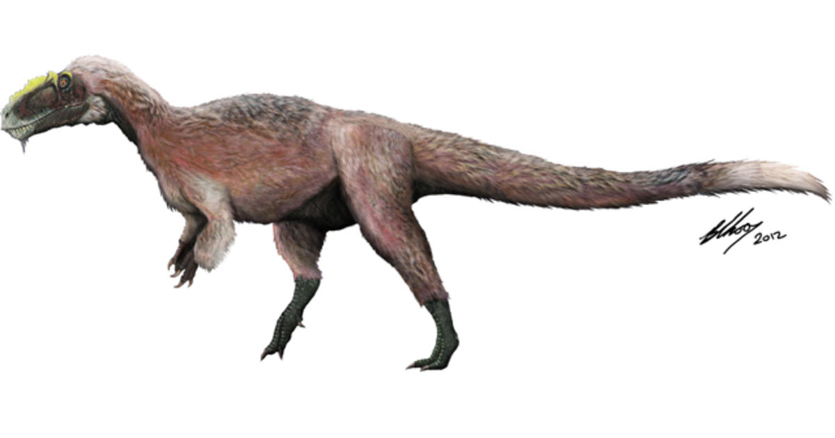 New evidence reveals the real T. rex had feathers and massive eyes •