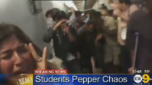 pepperspray_story.jpg 