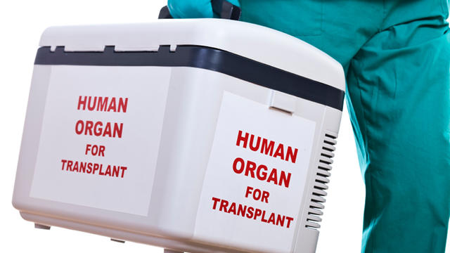 Human Organ Transplantation 