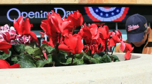 Twins Opening Day - Flowers 