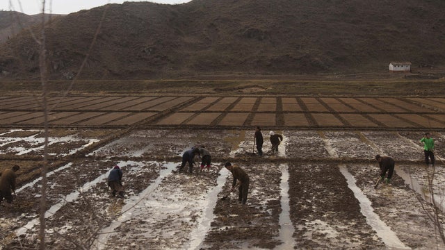NKorea_famine_AP110708049850.jpg 