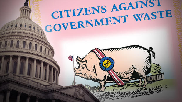 Government Waste 
