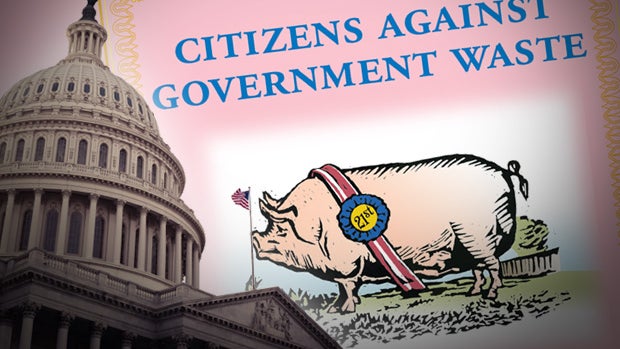 Government Waste 