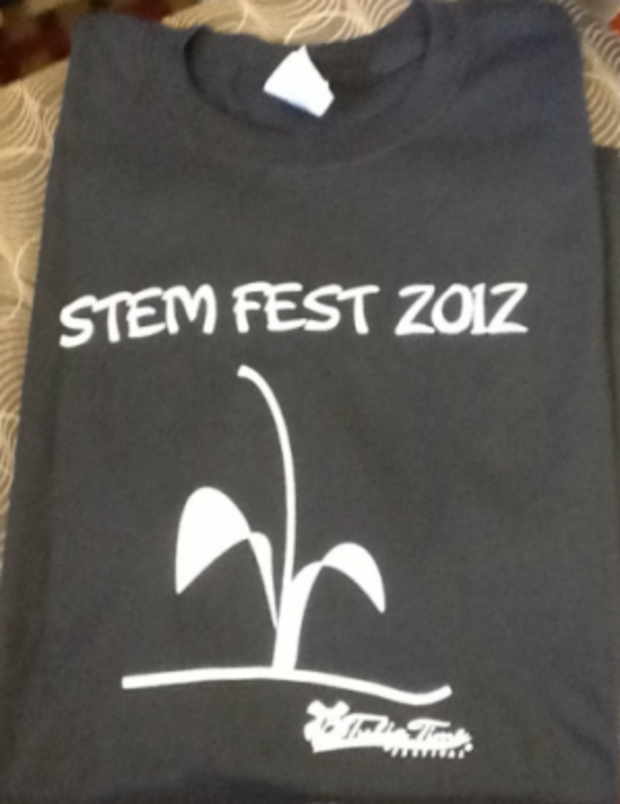 StemFest2012tshirt 