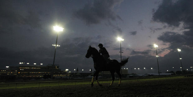 An exercise rider works out a race horse during the early morning hours 
