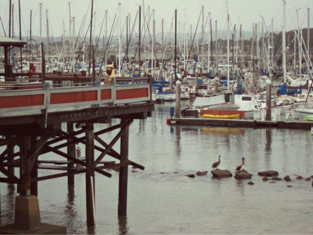 fishermanswharf 