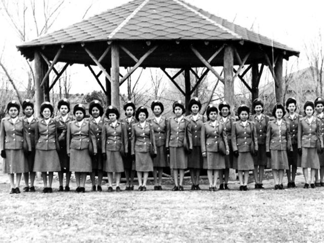 ancestry.com, cadet nurses