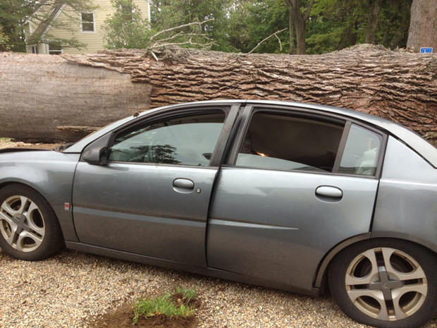 Tree Crushes Car In Wenham 