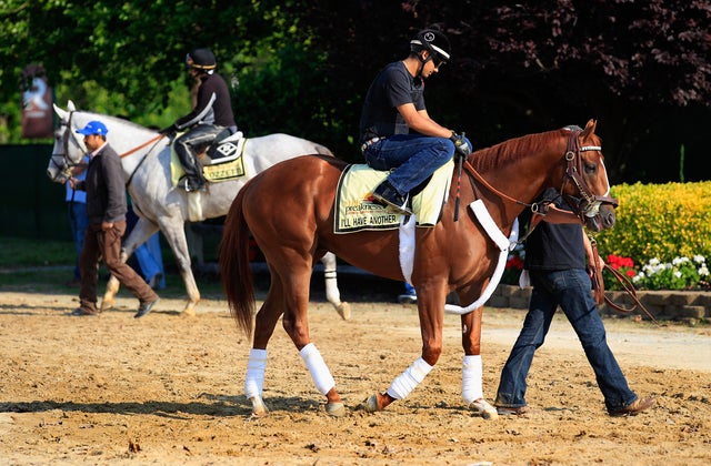 Exercise rider Jonny Garcia aboard I'll Have Another and Cozzene, left wait to train 