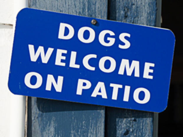 Dogs Welcome on Patio 