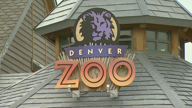 Denver Zoo 