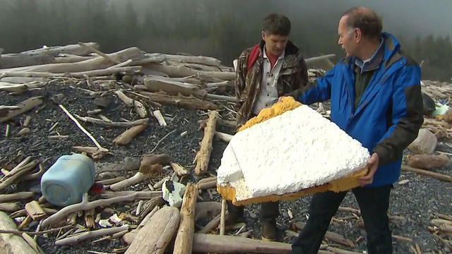 Japan's tsunami debris found on Alaskan shores 