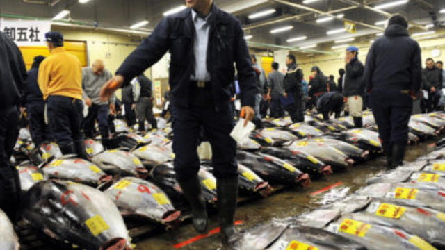 bluefin-tuna.jpg 