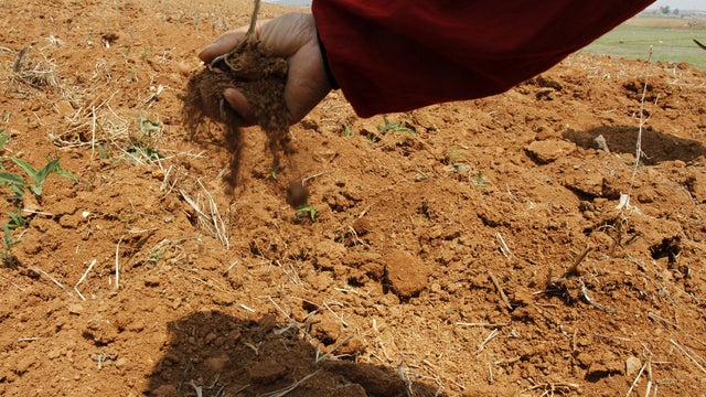 North Korean farmer sifts soil through his fingers  
