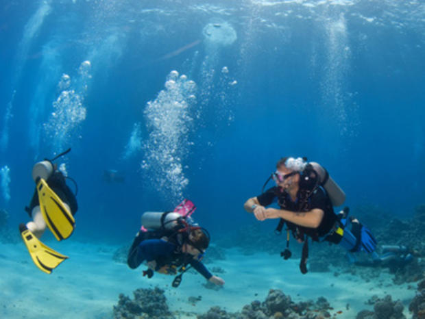 Scuba Divers on Reef 
