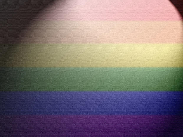 gay rainbow flag 