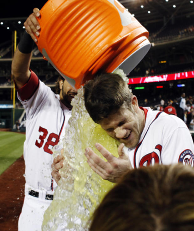 Bryce Harper gets dunked by Michael Morse 