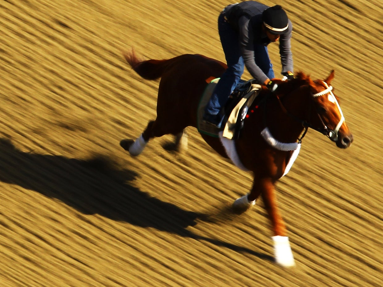 I'll Have Another's Triple Crown cheat sheet What to know for 144th