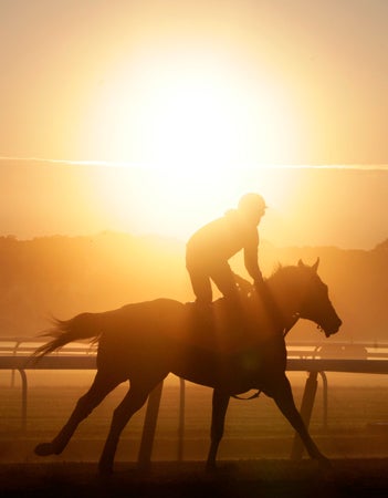 A horse trains at Belmont Park 