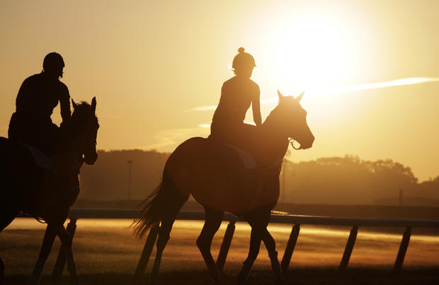 Horses walk onto the track at sunrise for a workout at Belmont Park 