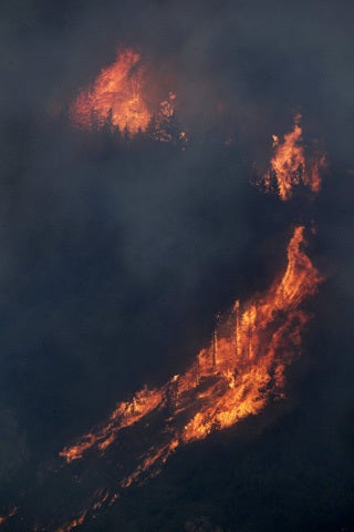 Wildfire_AP120614036222.jpg 