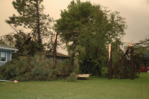 ortonville-snapped-trees-damage.jpg 