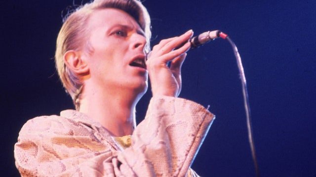 Bowie_AP7805010159.jpg 
