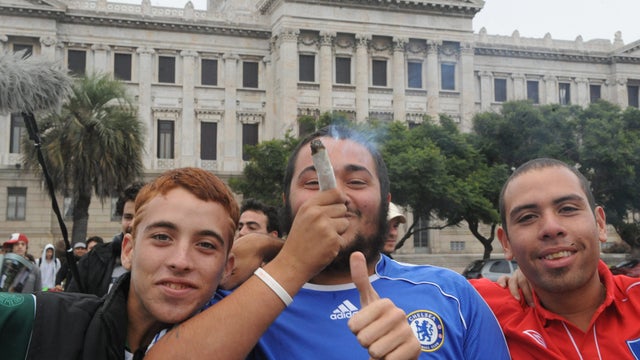 uruguay, marijuana, pot 