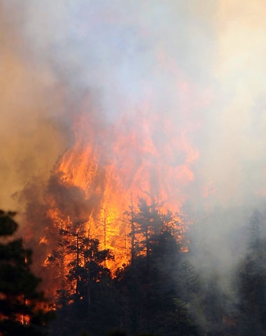 wildfires_AP120624046914.jpg 
