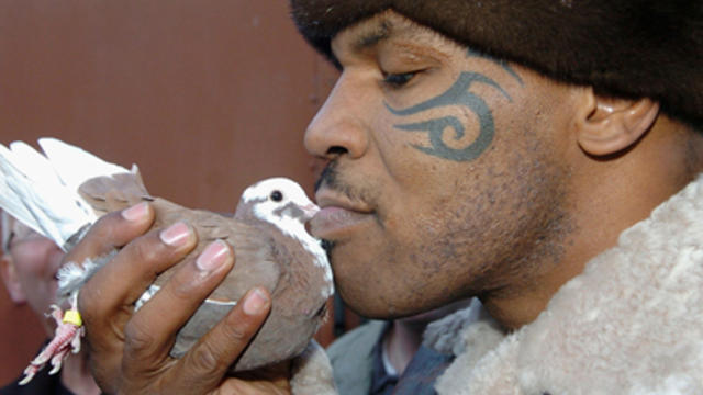 mike-tyson-with-pigeon.jpg 