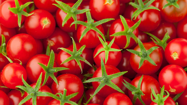 tomatoes.jpg 