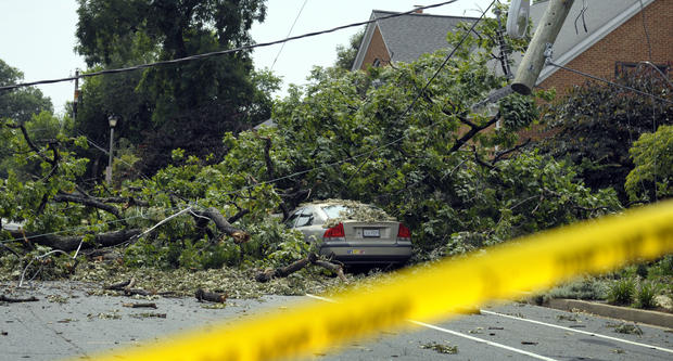 A car is covered by a downed tree on a residential stree 