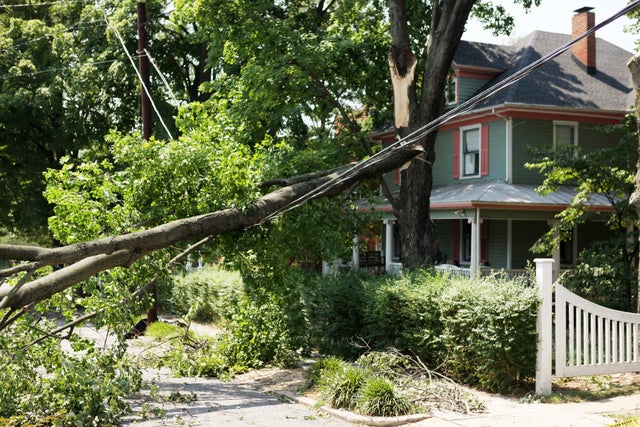 trees cover a house in Roanoke, Va.  