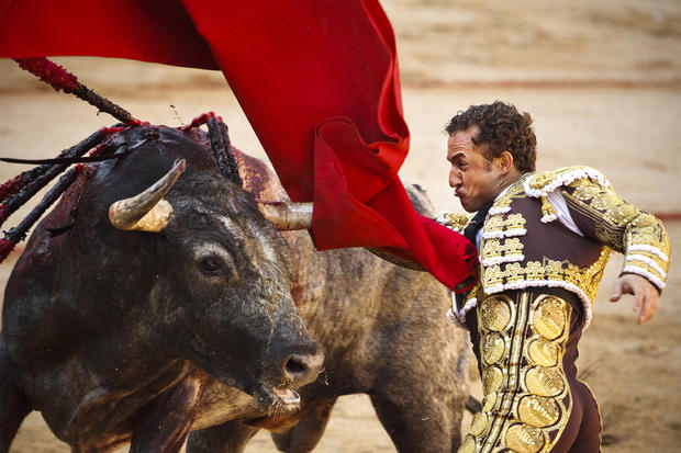 Rafaelillo performs with a Miura's ranch fighting bull 