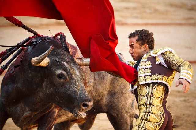 Rafaelillo performs with a Miura's ranch fighting bull 