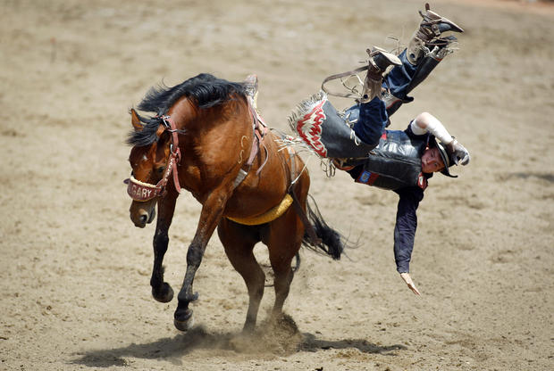 Lane Jamieson comes off Uzi Rocket during the Calgary Stampede rodeo 