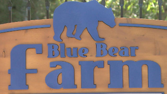 blue-bear-farm.jpg 