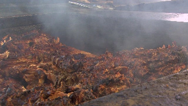 Barbecue: Essential summer food 