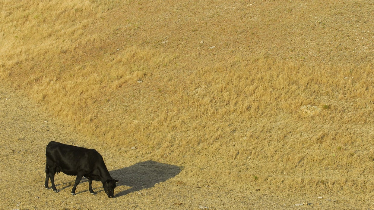 Risk of food shortages to rise with climate change Biology Diagrams