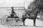horse-buggy-244x183-Orange_County_Archives.jpg 