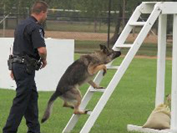 Tasco Roseville Police Dog 